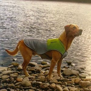 AlphaDogz Dog Cooling Vest, Size Medium
